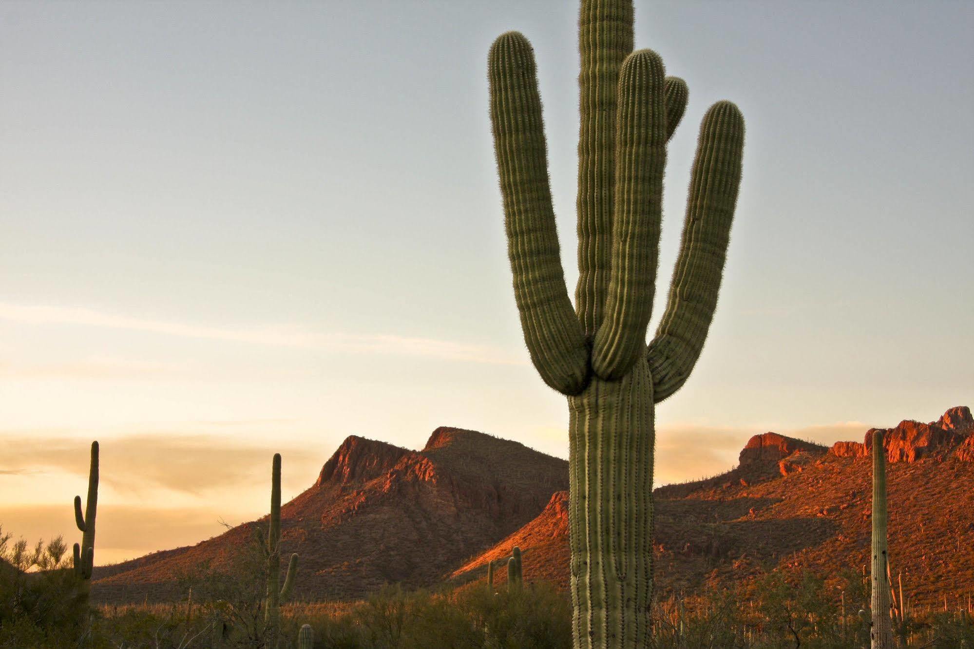 Tucson Marriott University Park Экстерьер фото